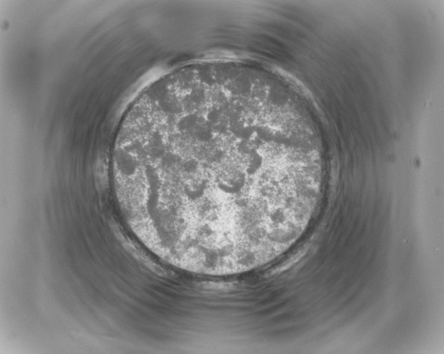 X0000085251409200704092037