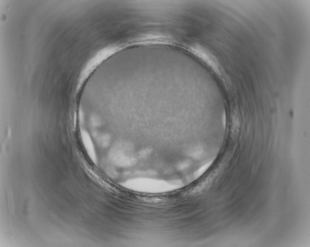 X0000085251413200704092037