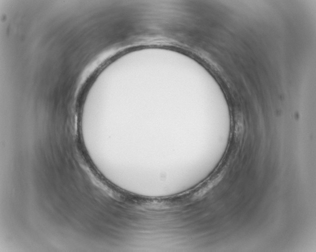 X0000085251414200704092037