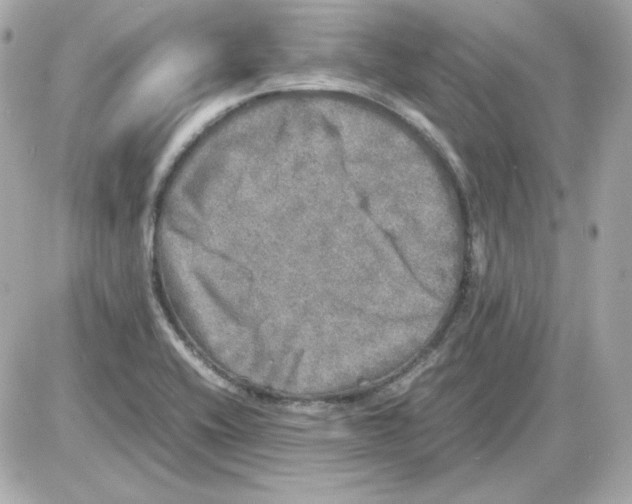 X0000085251416200704092037