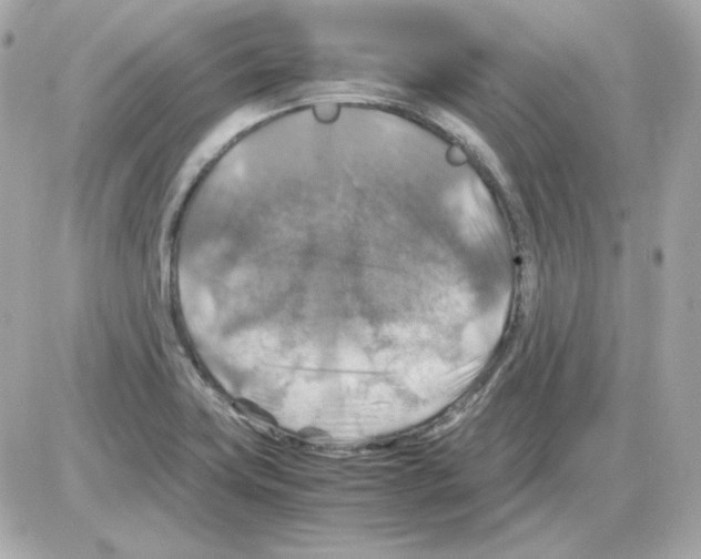 X0000085251419200704092037