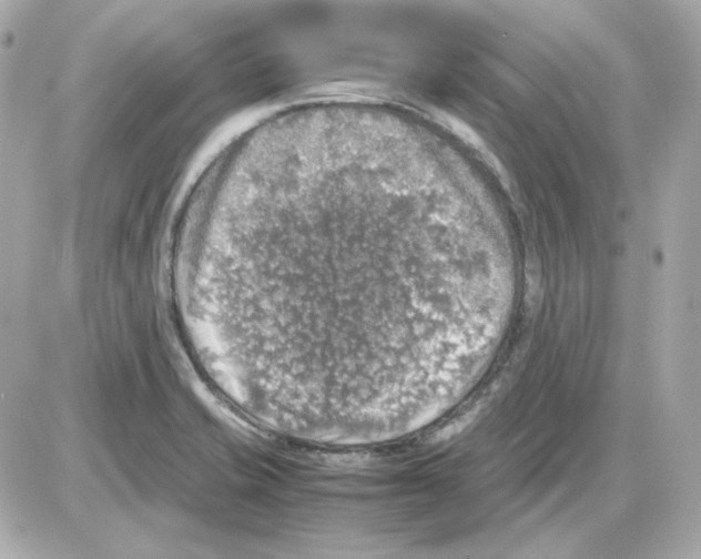 X0000085251421200704092037