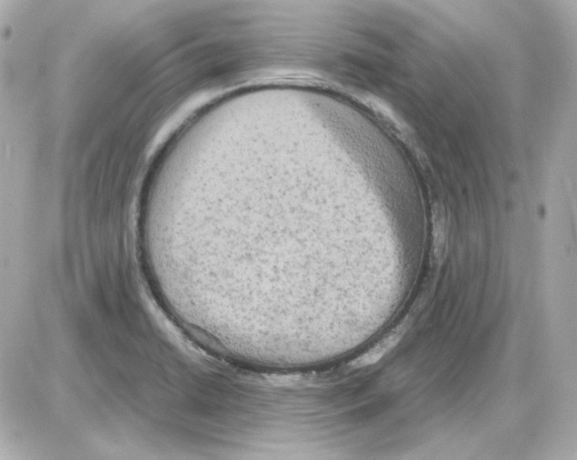 X0000085251422200704092037