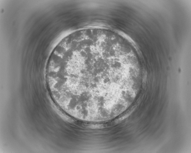 X0000085251423200704092037