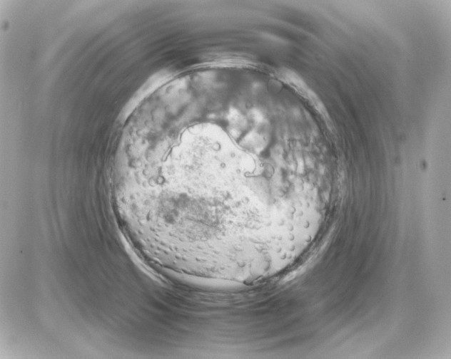 X0000085251425200704092037