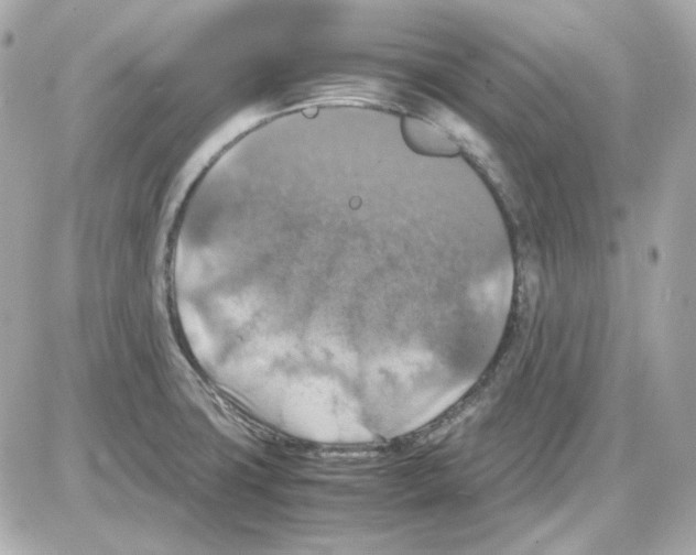 X0000085251427200704092037