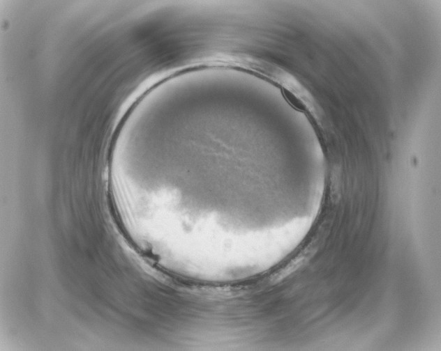 X0000085251428200704092037