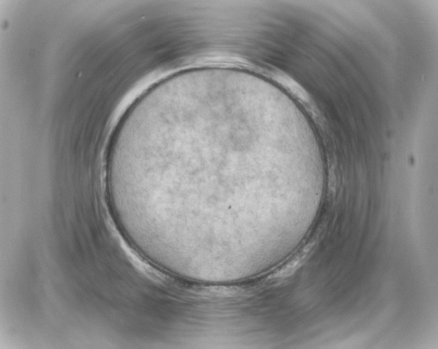 X0000085251430200704092037