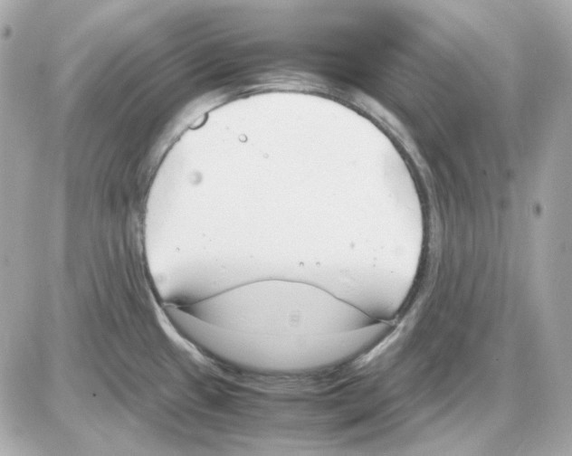 X0000085251433200704092037