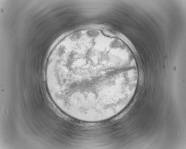 X0000085251436200704092037