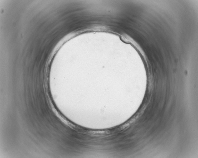 X0000085251437200704092037