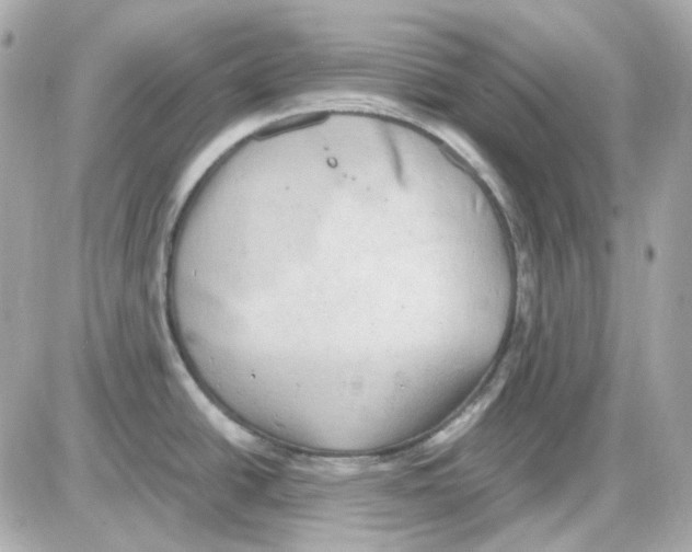 X0000085251438200704092037