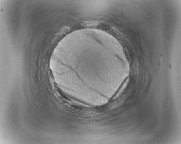 X0000085251441200704092037