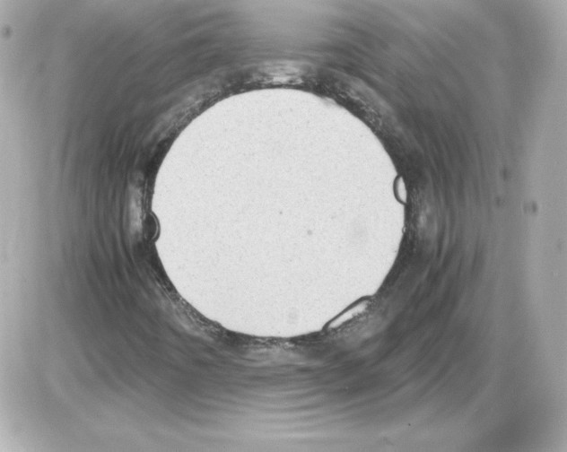 X0000085251442200704092037