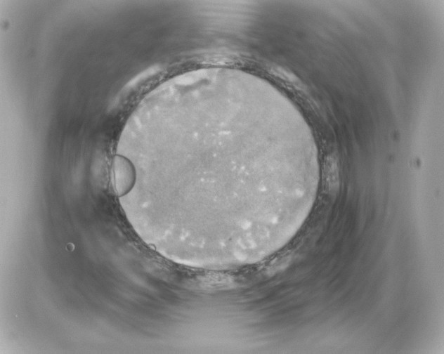 X0000085251446200704092037