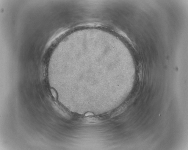 X0000085251448200704092037