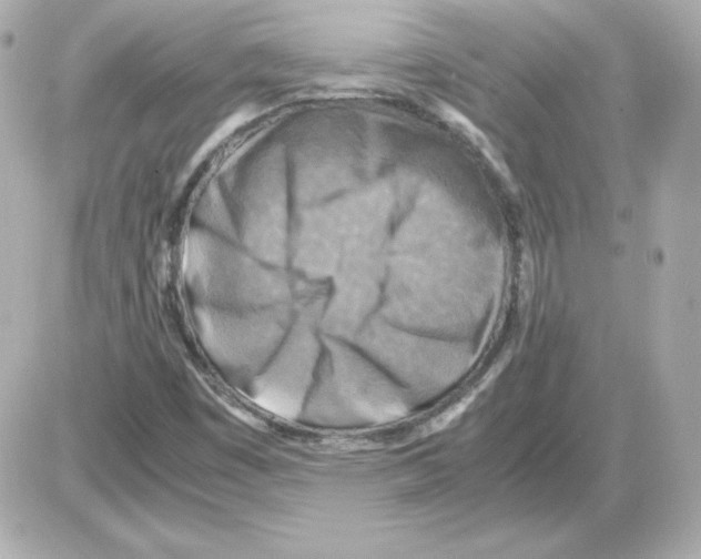 X0000085251449200704092037