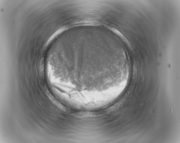 X0000085251450200704092037