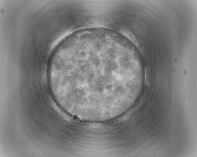 X0000085251452200704092036