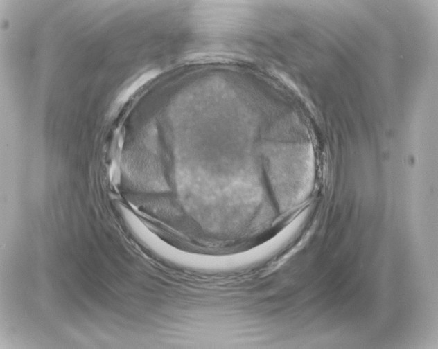 X0000085251453200704092036