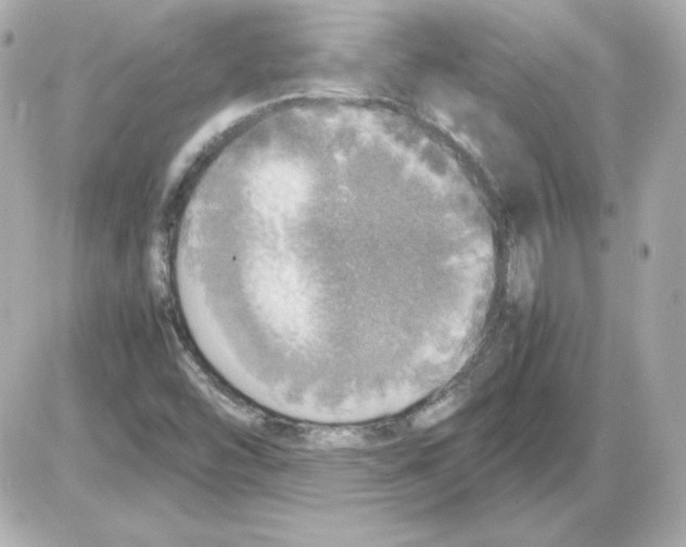 X0000085251454200704092036