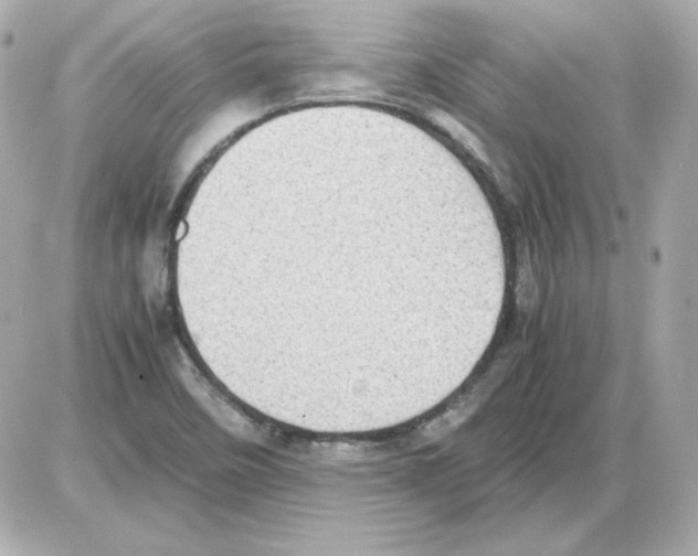 X0000085251458200704092036