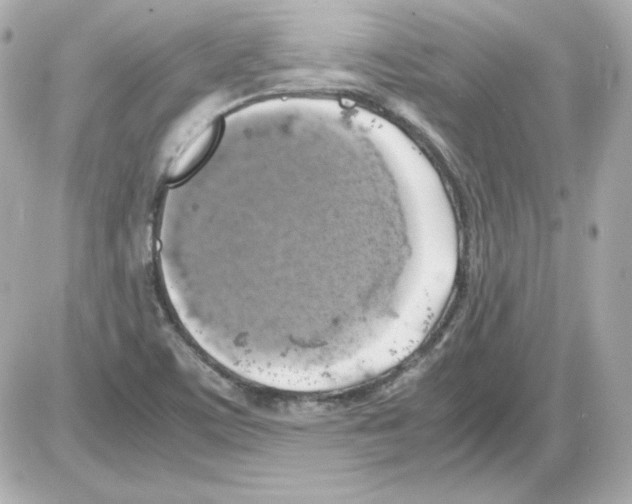 X0000085251459200704092036