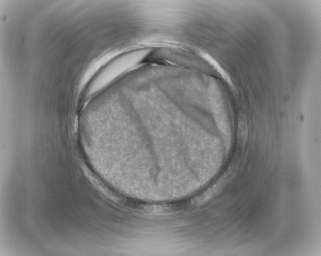 X0000085251461200704092036