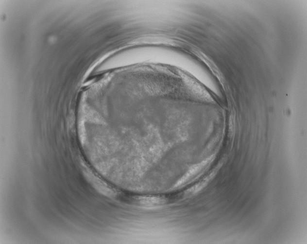 X0000085251465200704092036