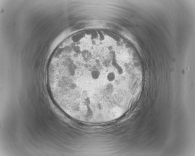 X0000085251467200704092036