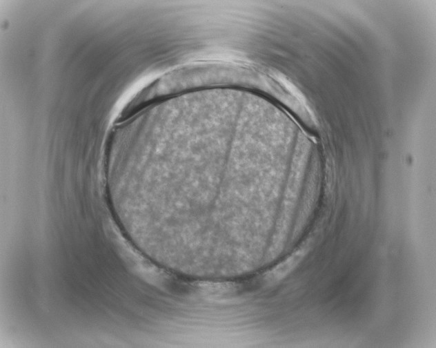 X0000085251469200704092036