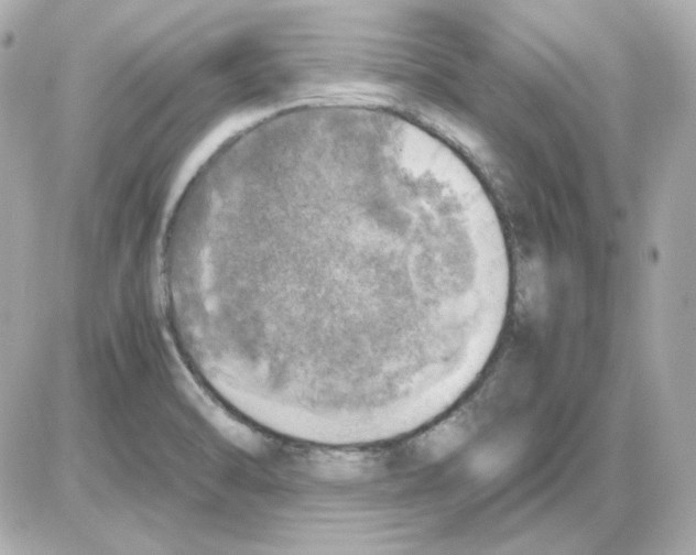 X0000085251470200704092036