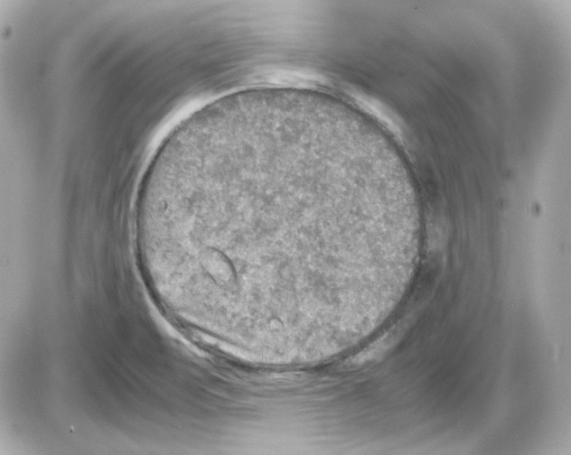 X0000085251471200704092036