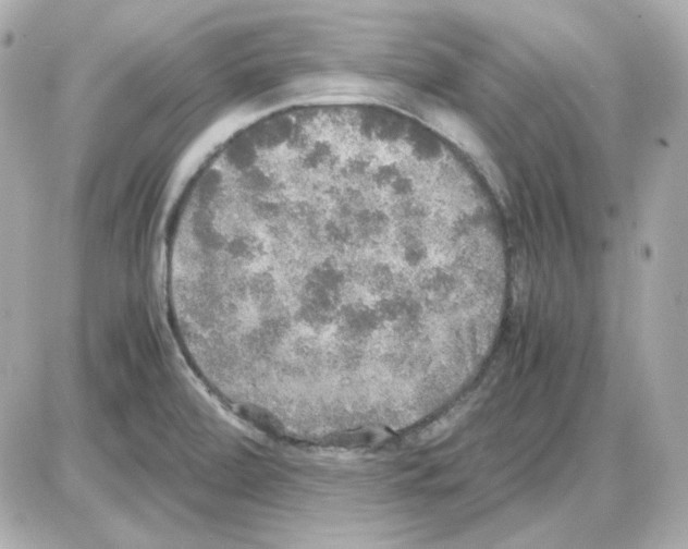 X0000085251472200704092036