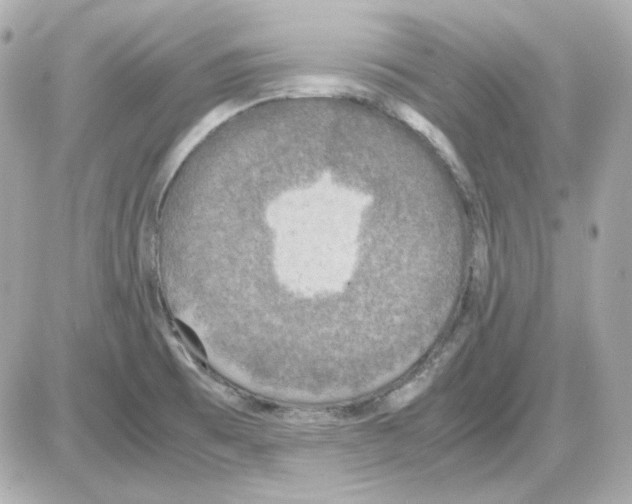 X0000085251473200704092036