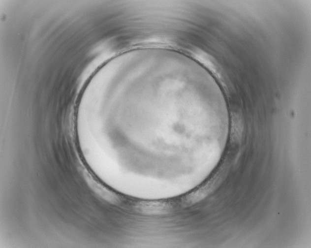 X0000085251474200704092036