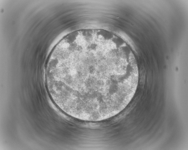 X0000085251476200704092036