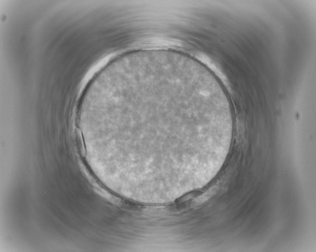 X0000085251477200704092036