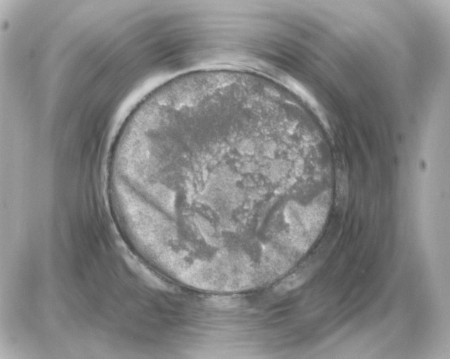 X0000085251480200704092036