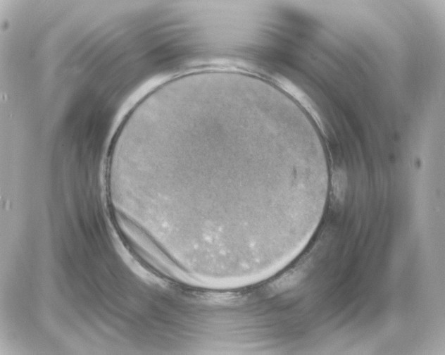 X0000085251482200704092036