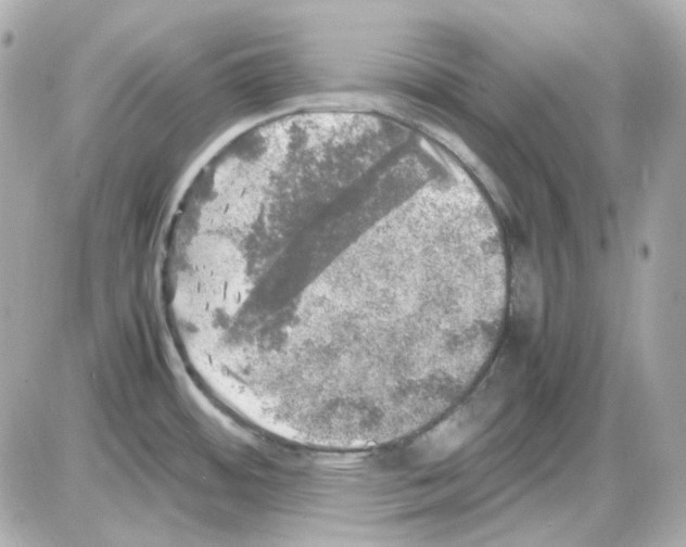 X0000085251484200704092036