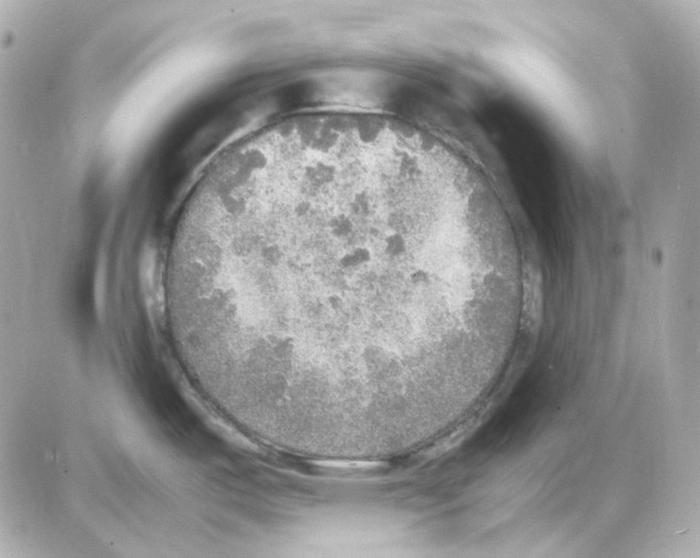 X0000085251487200704092036