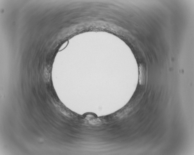 X0000085251491200704092035