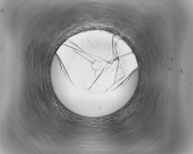 X0000085251492200704092035