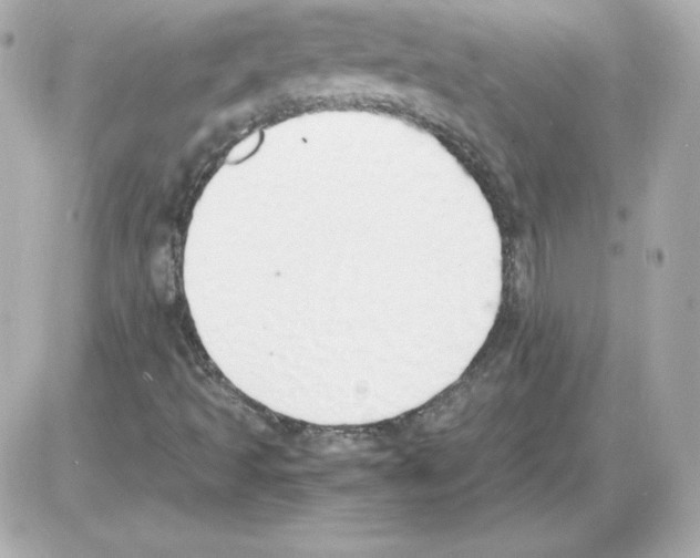 X0000085251493200704092035