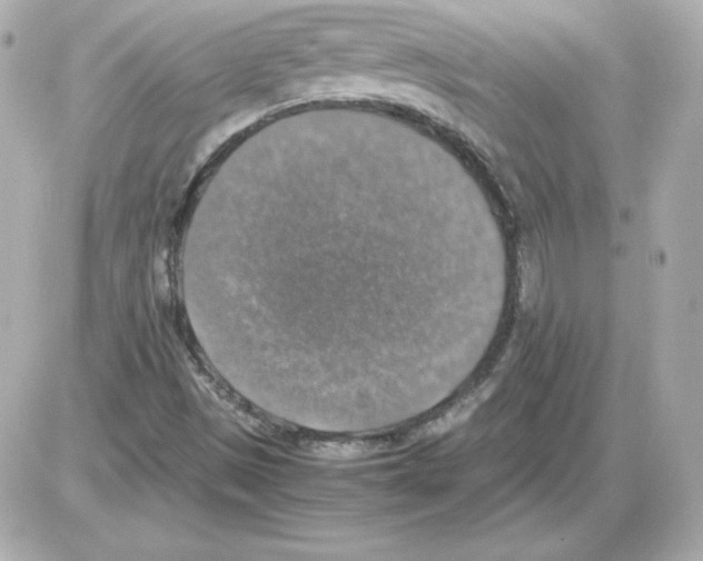 X0000085251497200704092035