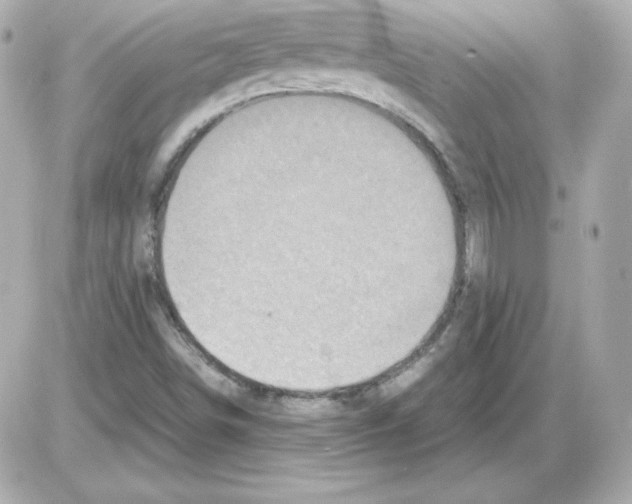 X0000085251498200704092035