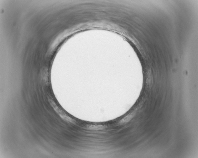 X0000085251499200704092035