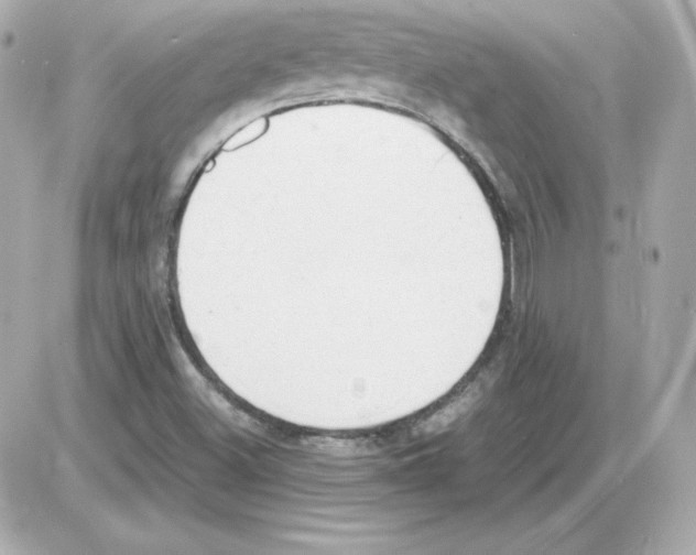 X0000085251500200704092035