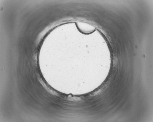 X0000085251503200704092035